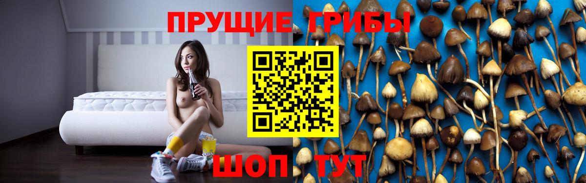 Волоколамск  Галлюциногенные грибы Cubensis  где можно купить наркотик  Вход с VPN 